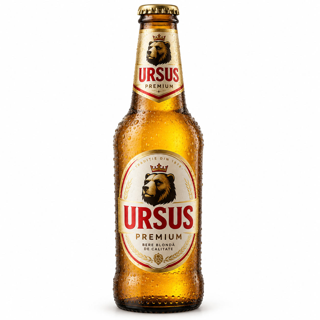 Ursus